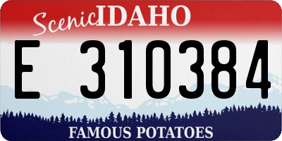 ID license plate E310384