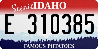 ID license plate E310385