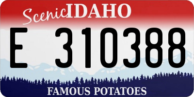 ID license plate E310388