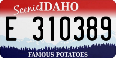 ID license plate E310389