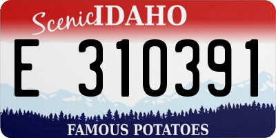 ID license plate E310391