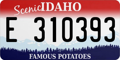 ID license plate E310393