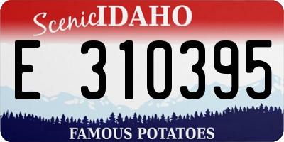 ID license plate E310395