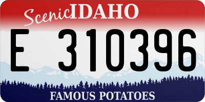 ID license plate E310396