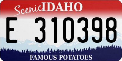 ID license plate E310398