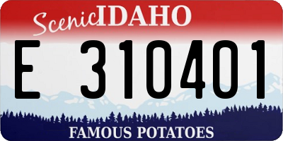 ID license plate E310401