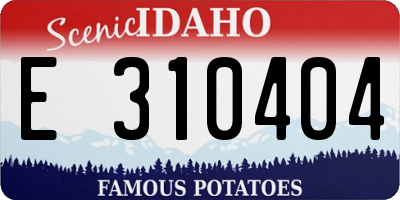 ID license plate E310404
