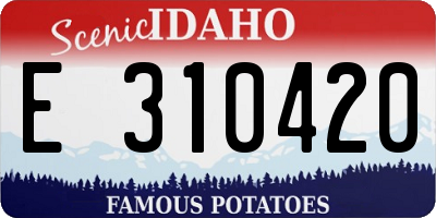 ID license plate E310420