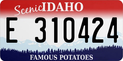 ID license plate E310424