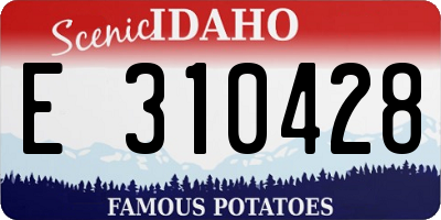 ID license plate E310428