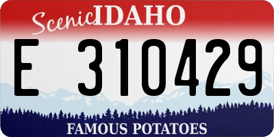 ID license plate E310429
