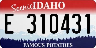 ID license plate E310431