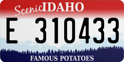 ID license plate E310433