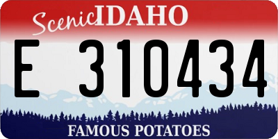 ID license plate E310434