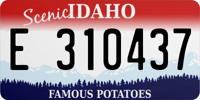 ID license plate E310437