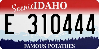 ID license plate E310444