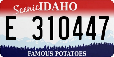 ID license plate E310447
