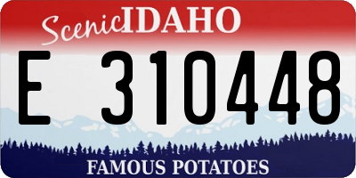ID license plate E310448