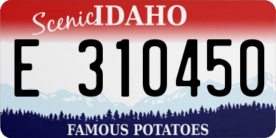 ID license plate E310450