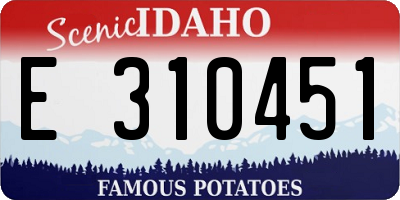 ID license plate E310451