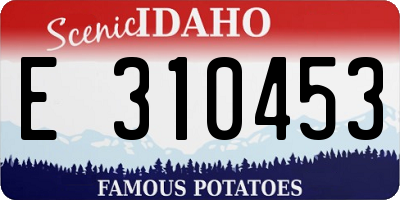 ID license plate E310453