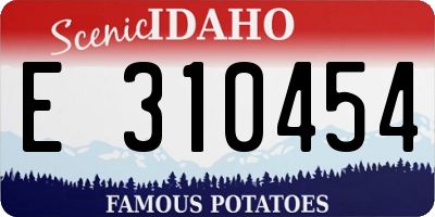 ID license plate E310454