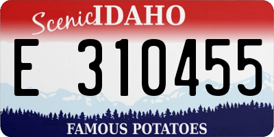 ID license plate E310455