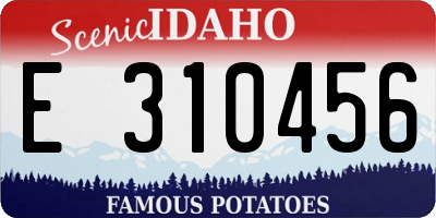ID license plate E310456