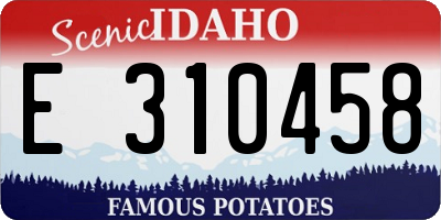 ID license plate E310458