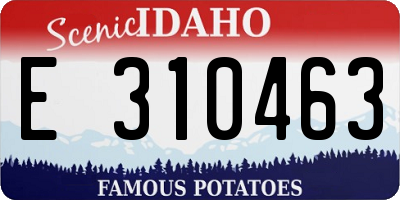 ID license plate E310463