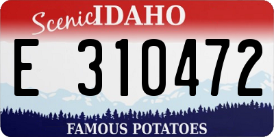ID license plate E310472