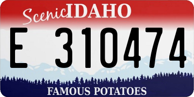 ID license plate E310474