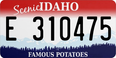 ID license plate E310475