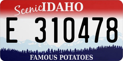 ID license plate E310478
