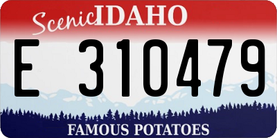 ID license plate E310479