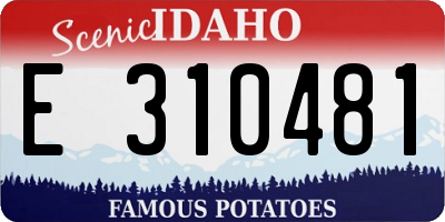 ID license plate E310481