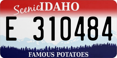 ID license plate E310484