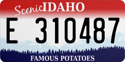 ID license plate E310487