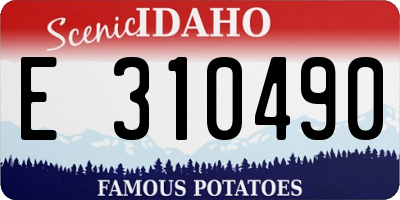 ID license plate E310490