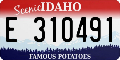 ID license plate E310491