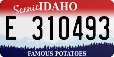 ID license plate E310493