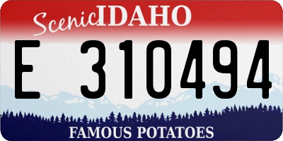 ID license plate E310494