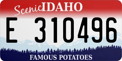ID license plate E310496