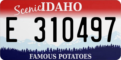 ID license plate E310497