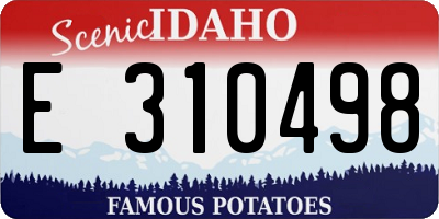ID license plate E310498