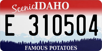 ID license plate E310504