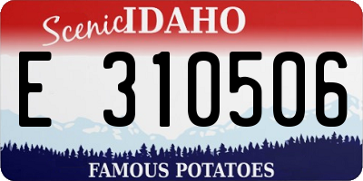 ID license plate E310506