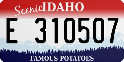 ID license plate E310507