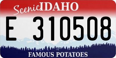 ID license plate E310508