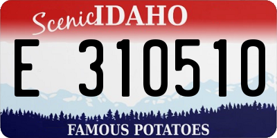 ID license plate E310510